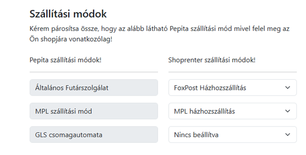 Netmetro 2